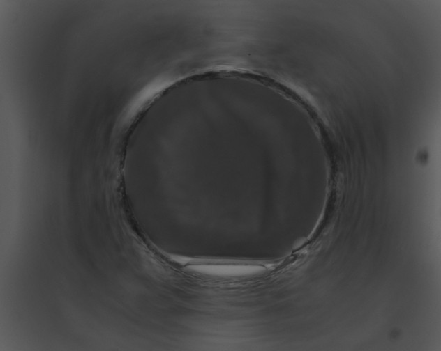 X0000095541359200801041300