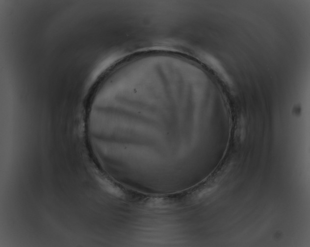 X0000095541360200801041300