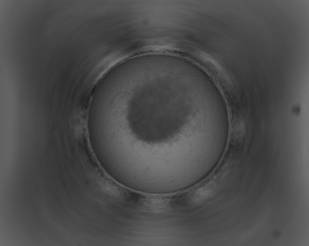 X0000095541361200801041300