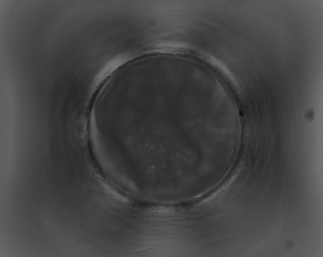 X0000095541362200801041300