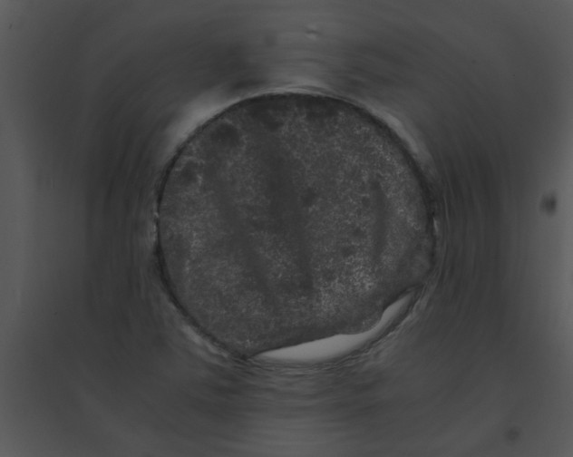 X0000095541363200801041300