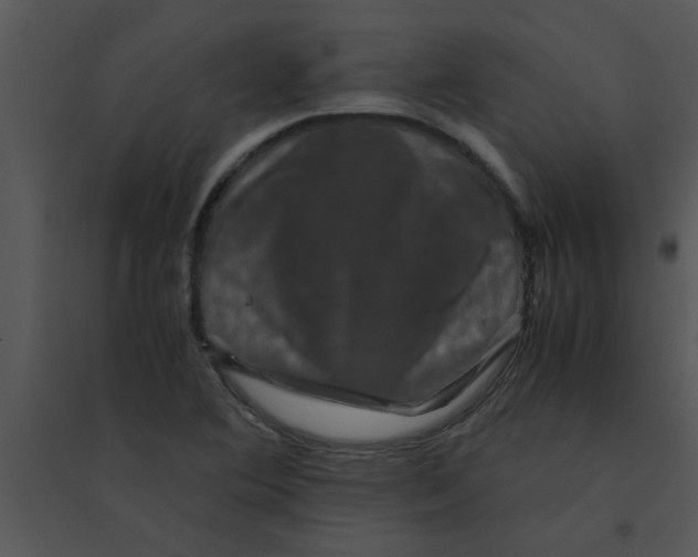 X0000095541364200801041300