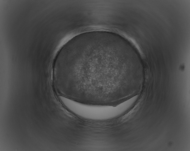 X0000095541365200801041300