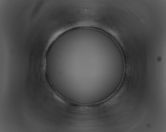 X0000095541366200801041300