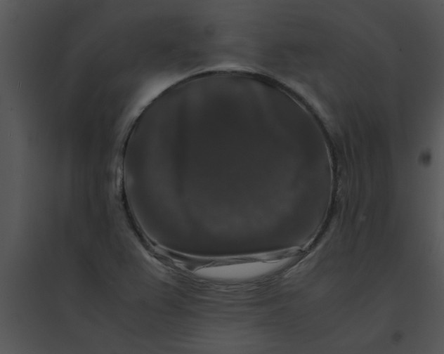 X0000095541367200801041300