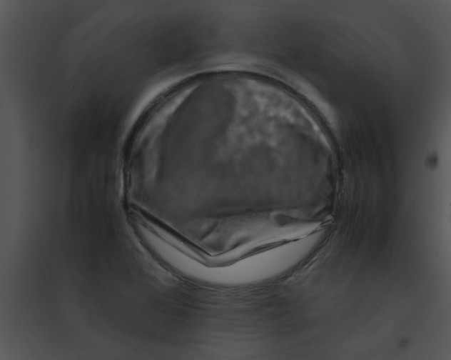 X0000095541368200801041300