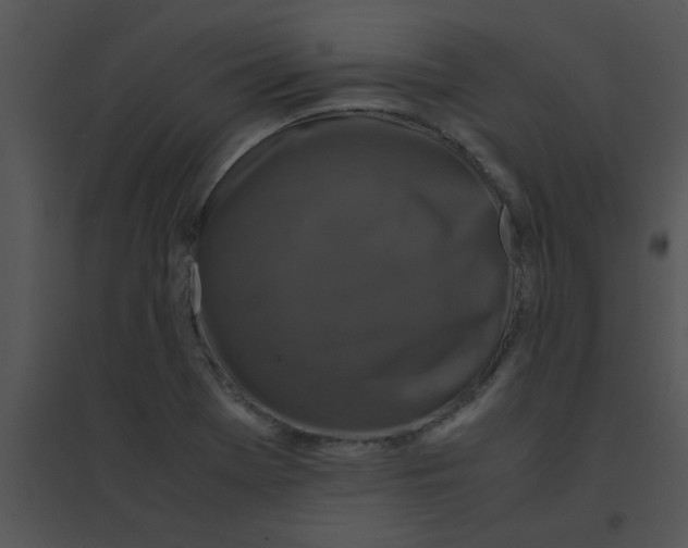 X0000095541369200801041300