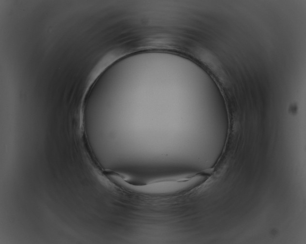 X0000095541370200801041300