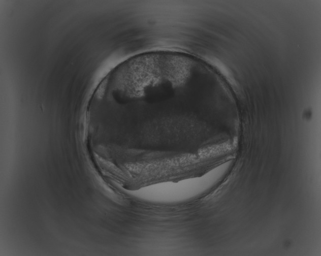 X0000095541371200801041300