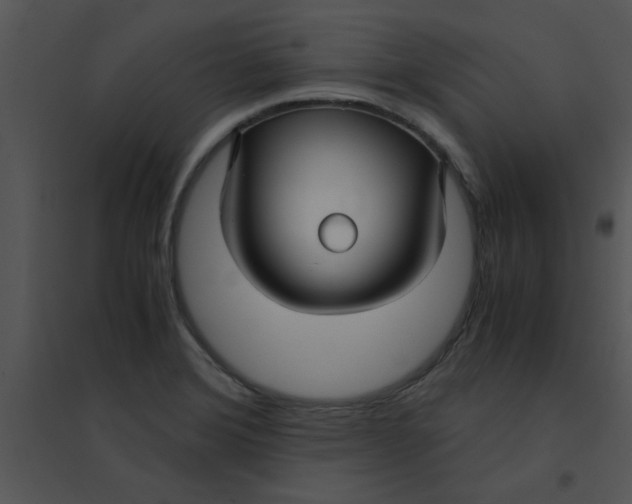 X0000095541372200801041300