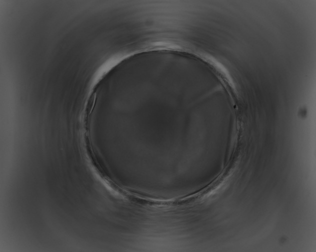 X0000095541373200801041300