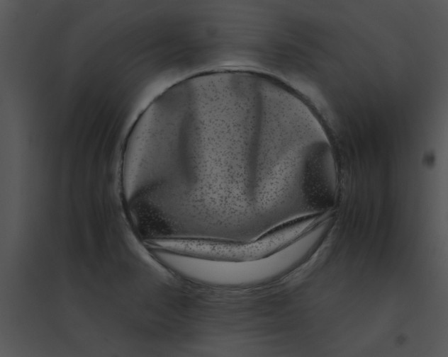 X0000095541374200801041300