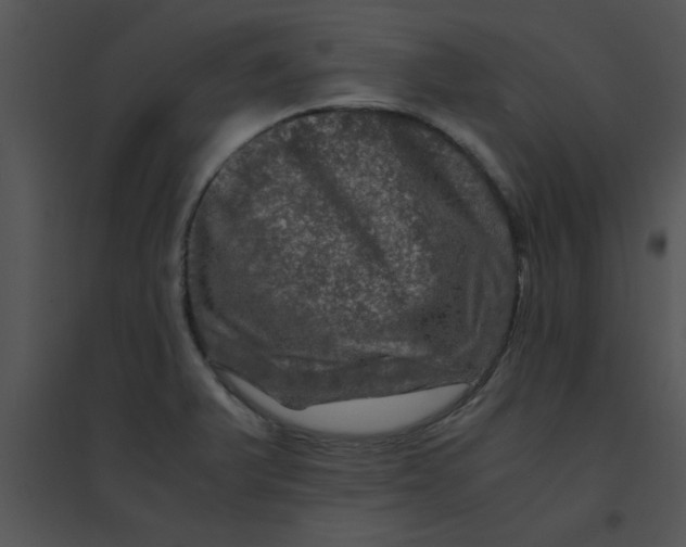 X0000095541375200801041300