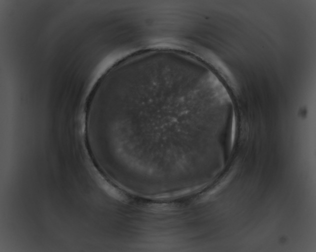 X0000095541376200801041300