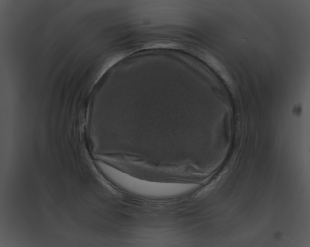 X0000095541377200801041300