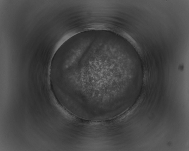 X0000095541378200801041300