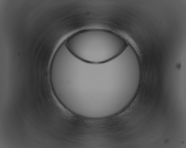 X0000095541380200801041300