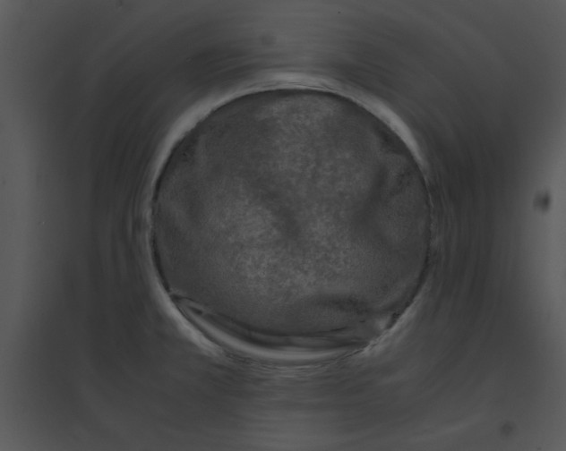 X0000095541381200801041300