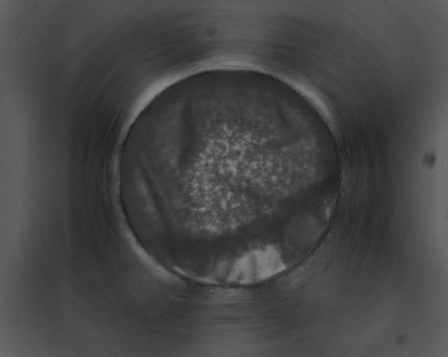 X0000095541382200801041300