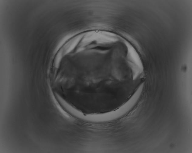 X0000095541383200801041300