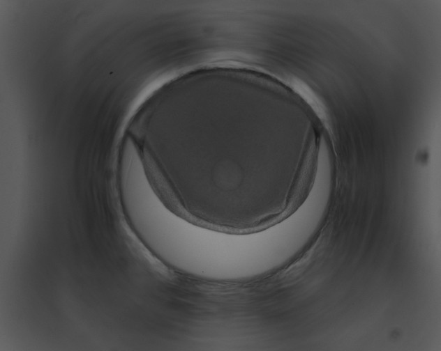 X0000095541384200801041259