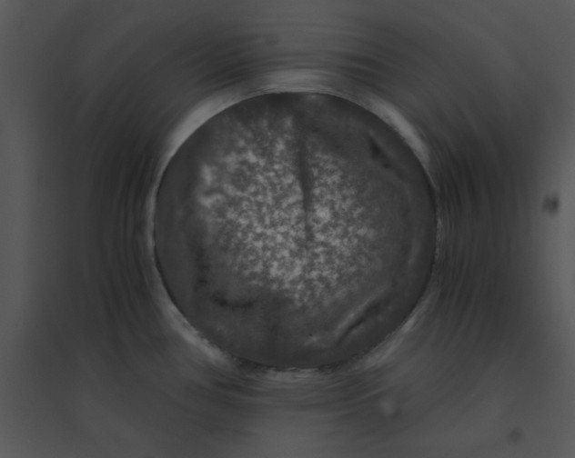 X0000095541386200801041259