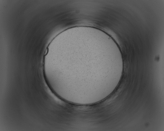 X0000095541387200801041259