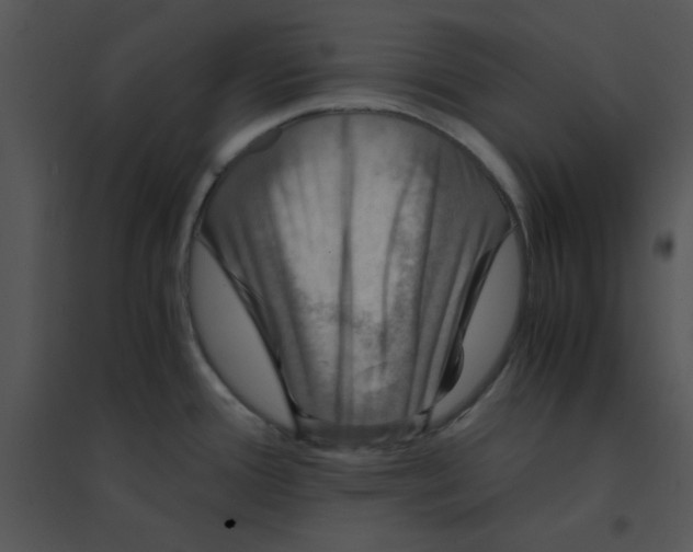 X0000095541388200801041259