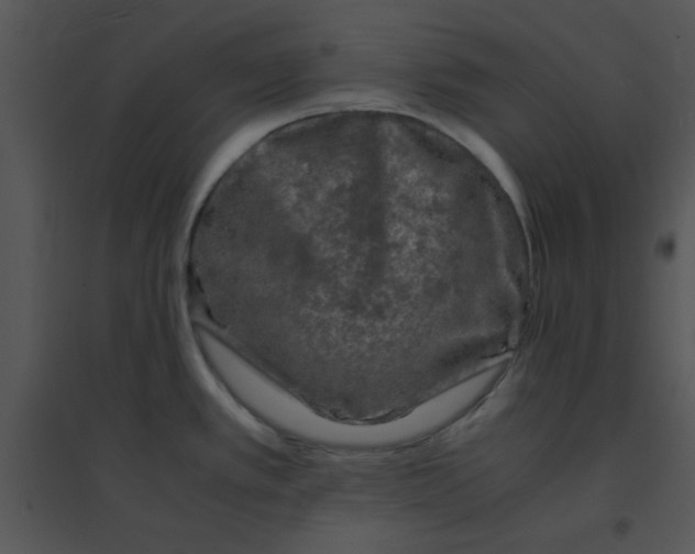 X0000095541389200801041259