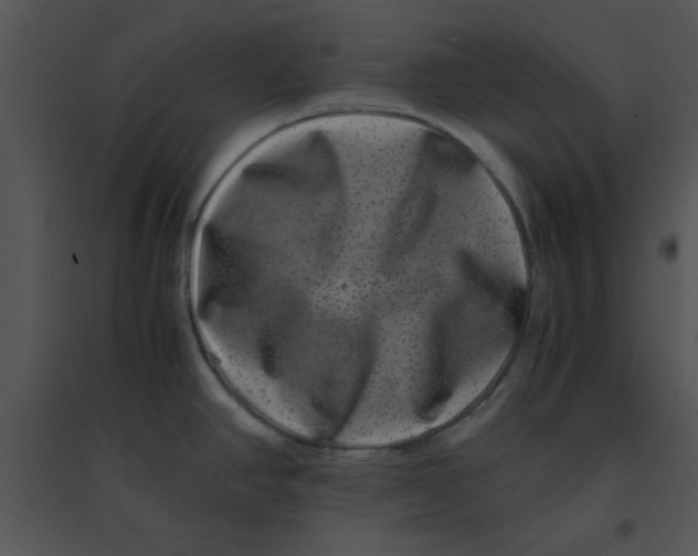 X0000095541390200801041259