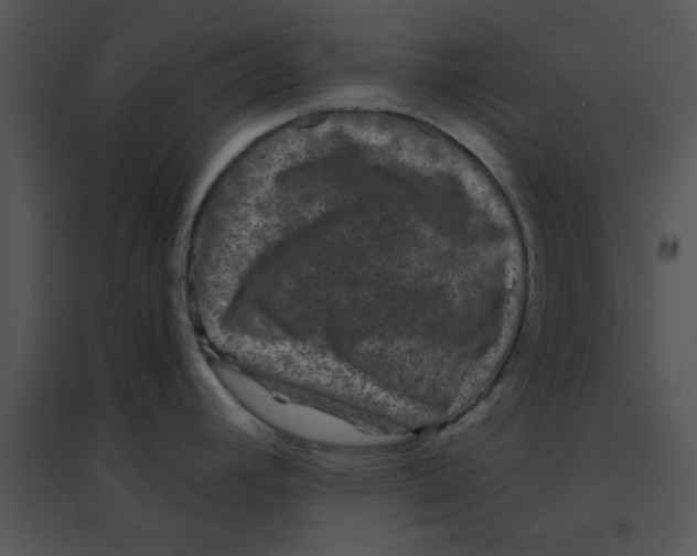 X0000095541392200801041259