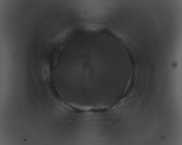 X0000095541394200801041259