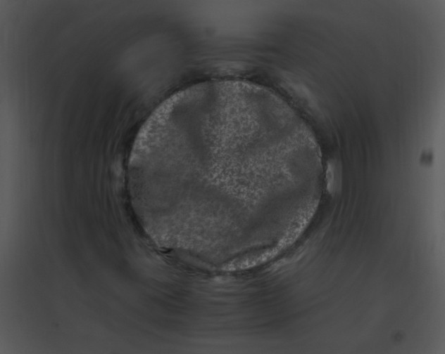 X0000095541395200801041259