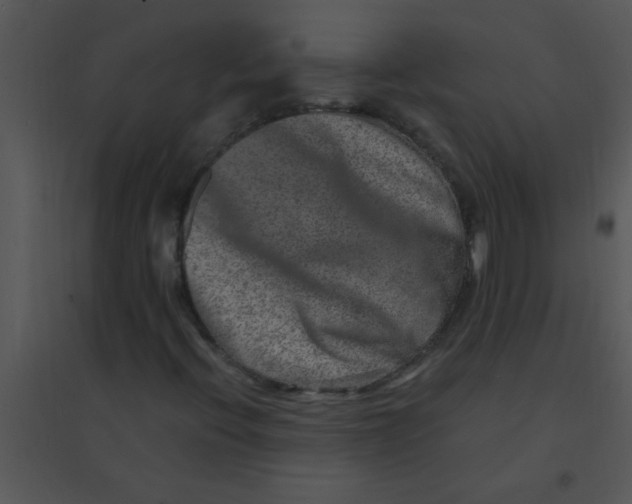 X0000095541396200801041259