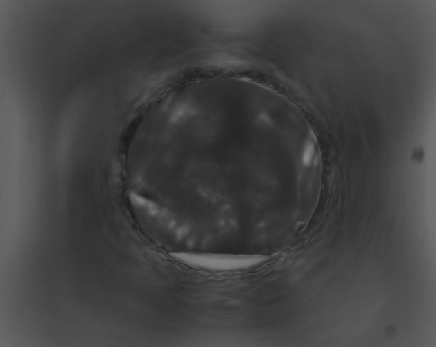 X0000095541397200801041259