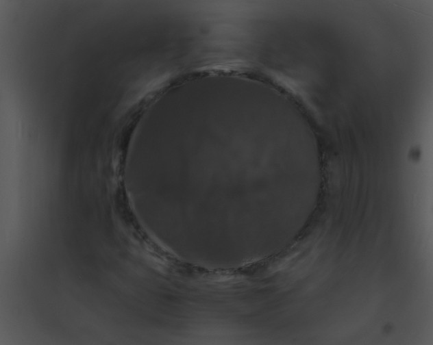 X0000095541399200801041259