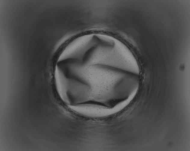 X0000095541400200801041259