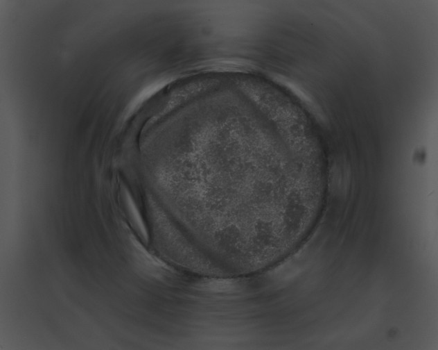 X0000095541402200801041259