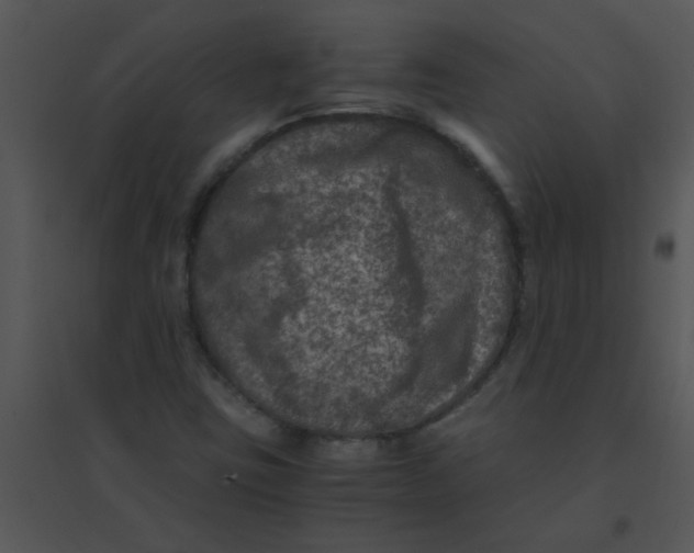 X0000095541403200801041259