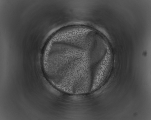 X0000095541404200801041259