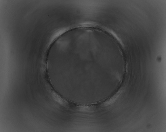 X0000095541405200801041259