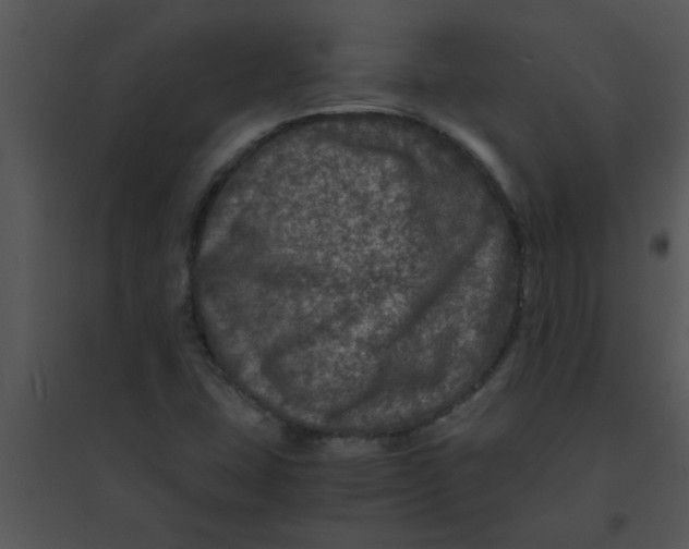 X0000095541407200801041259