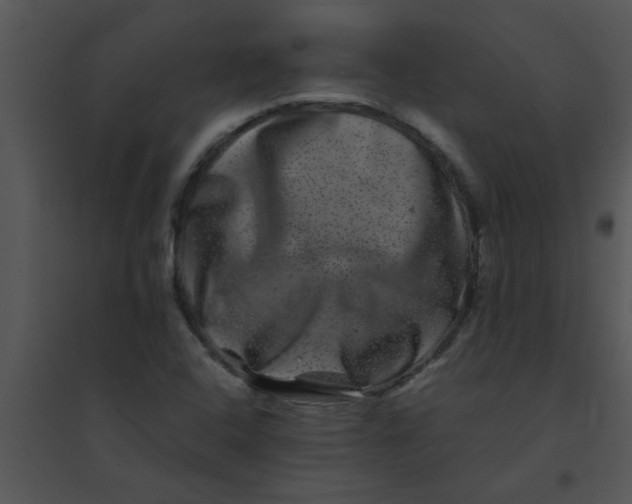 X0000095541408200801041259