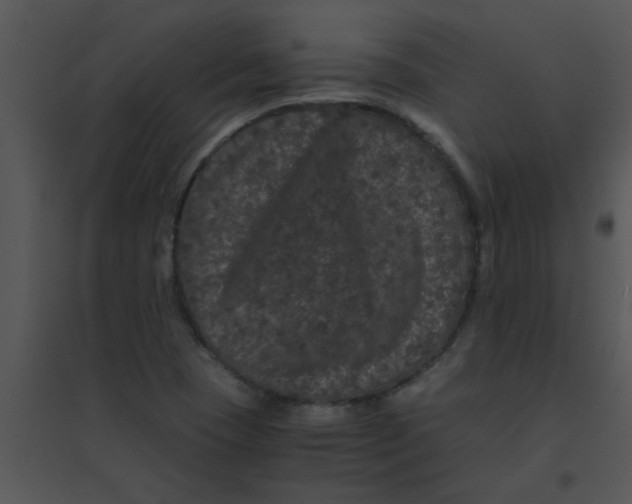 X0000095541409200801041259