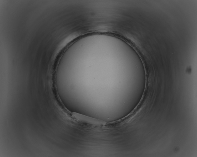 X0000095541410200801041259