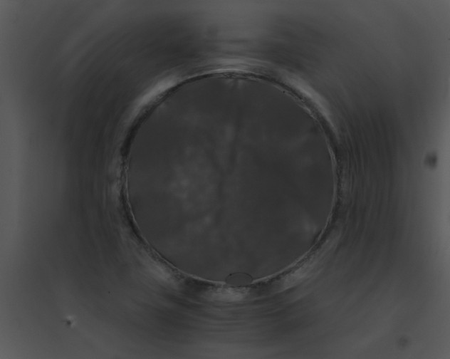 X0000095541411200801041259