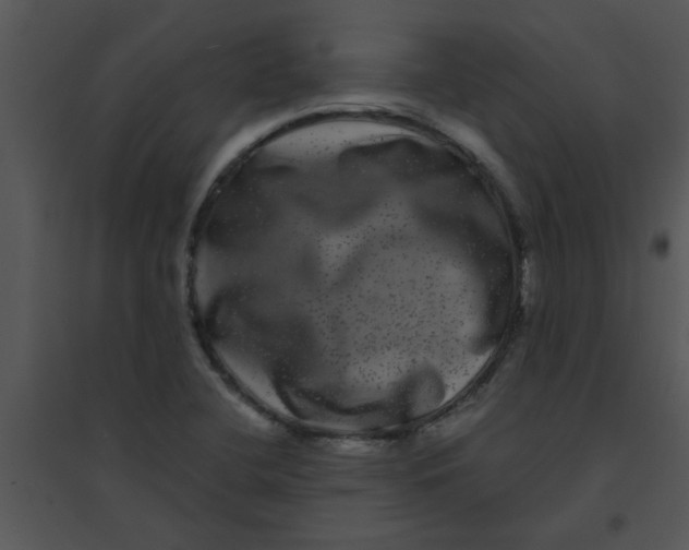 X0000095541412200801041259