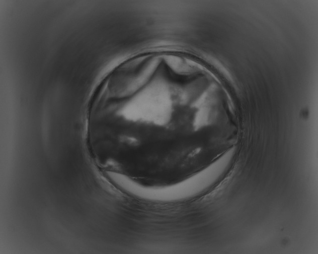 X0000095541413200801041259