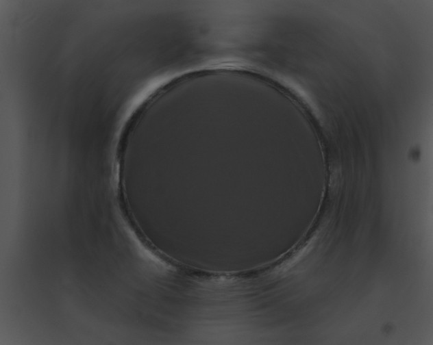 X0000095541414200801041259