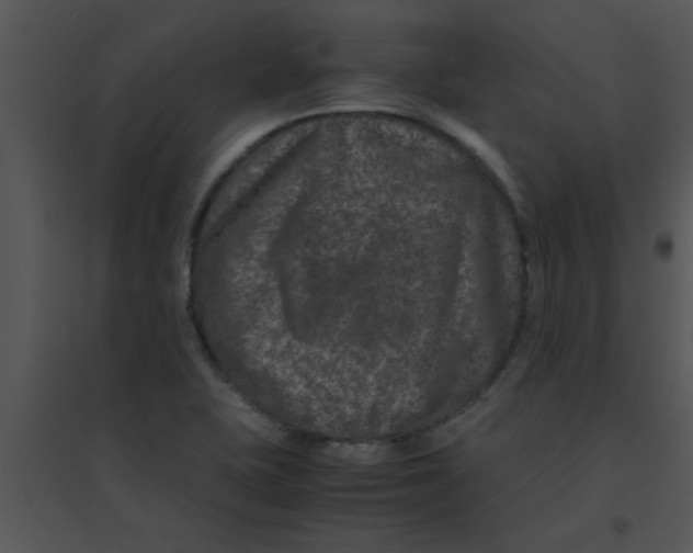 X0000095541415200801041259